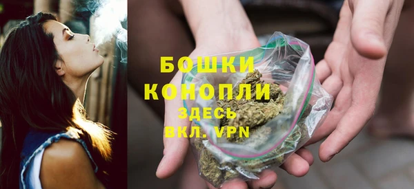 ПСИЛОЦИБИНОВЫЕ ГРИБЫ Тавда