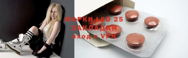 ПСИЛОЦИБИНОВЫЕ ГРИБЫ Тавда