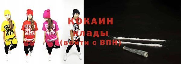 ПСИЛОЦИБИНОВЫЕ ГРИБЫ Тавда