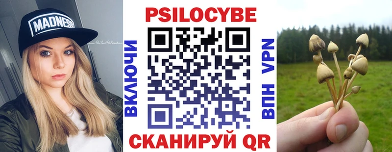Галлюциногенные грибы Psilocybe  Харовск 